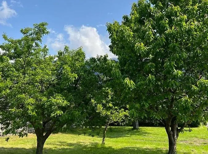 Haus Altenmarkt Dom wakacyjny *