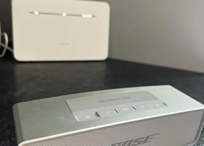 Haus Altenmarkt Holiday home Mollbrucke