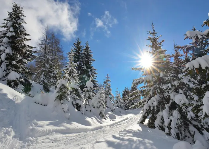 Dom wakacyjny Haus Altenmarkt Mollbrucke